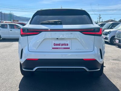 2024 Lexus NX photo 5