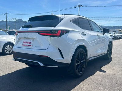 2024 Lexus NX photo 6
