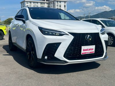 2024 Lexus NX photo 8