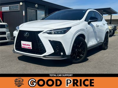 2024 Lexus NX photo 1
