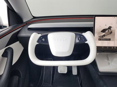 2025 Tesla MODEL Y — миниатюра 21
