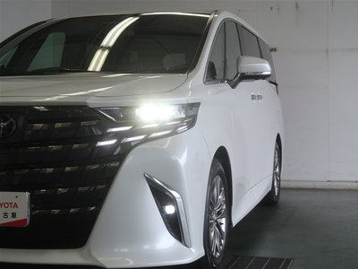 2024 Toyota ALPHARD 缩略图 29