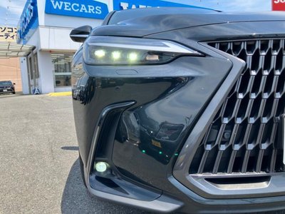 2024 Lexus NX — миниатюра 18