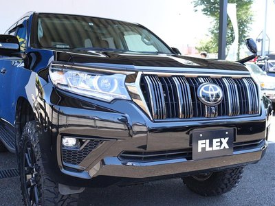 2021 Toyota LAND CRUISER PRADO 缩略图 30