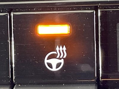 2025 Toyota LAND CRUISER 250 缩略图 35