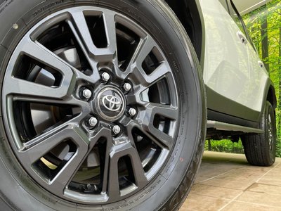 2025 Toyota LAND CRUISER 250 缩略图 14