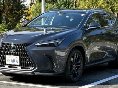 LEXUS NX - 1