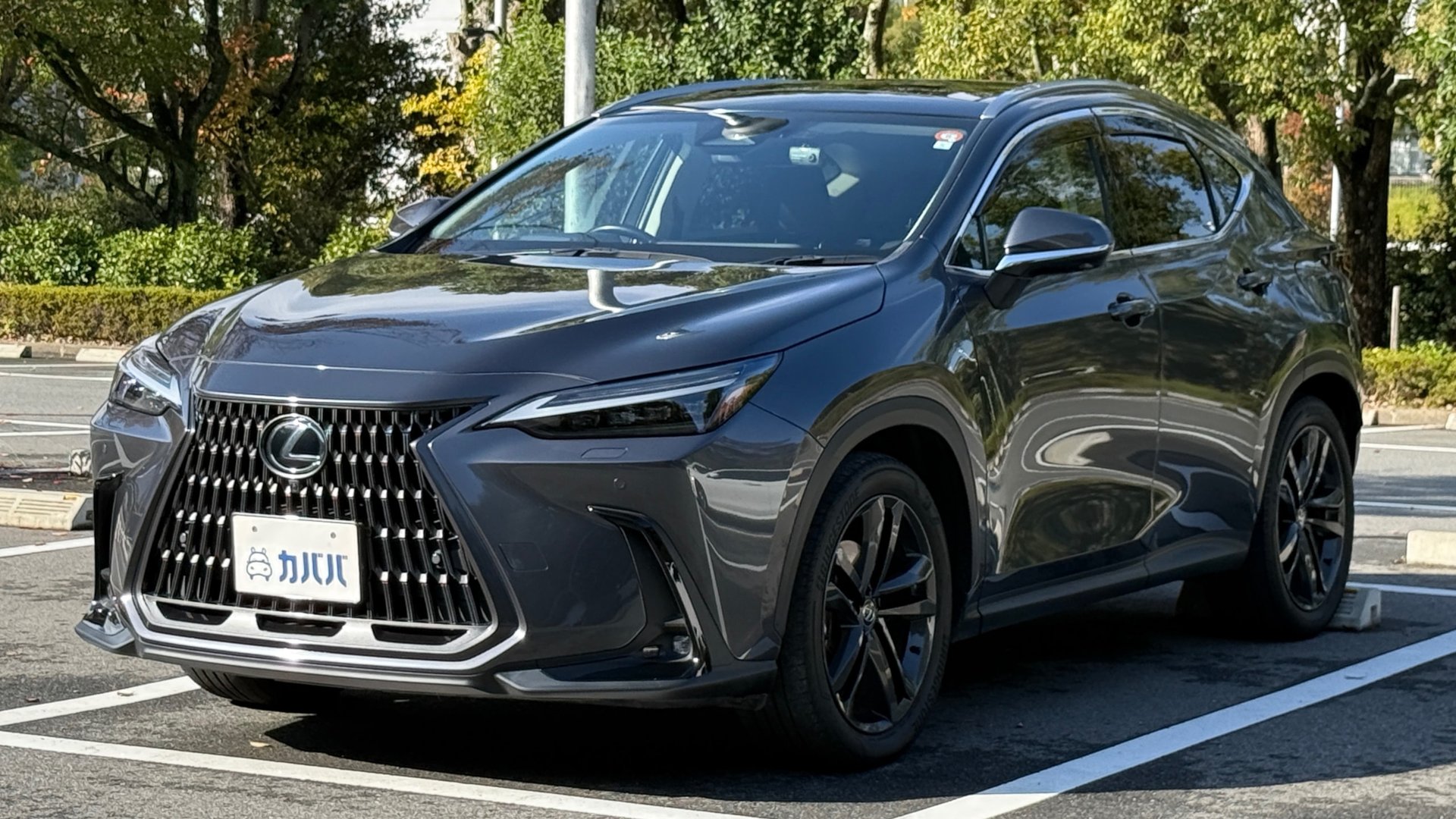 LEXUS NX - View 1