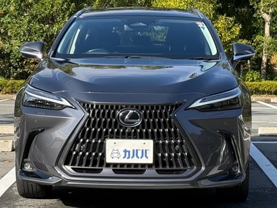 LEXUS NX - 2