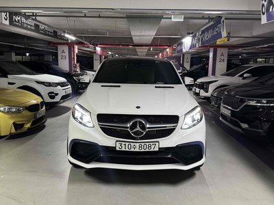 2019 Mercedes-BENZ GLE photo 1