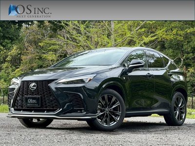 LEXUS NX - 1