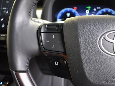 2025 TOYOTA ALPHARD 缩略图 14