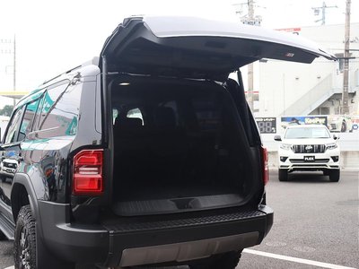 2024 Toyota LAND CRUISER 250 — миниатюра 50