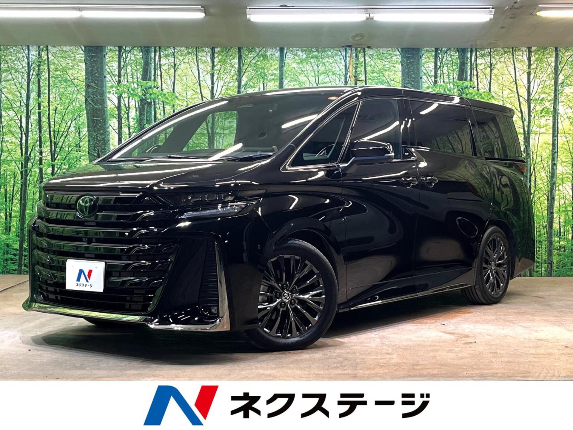 TOYOTA VELLFIRE - View 1