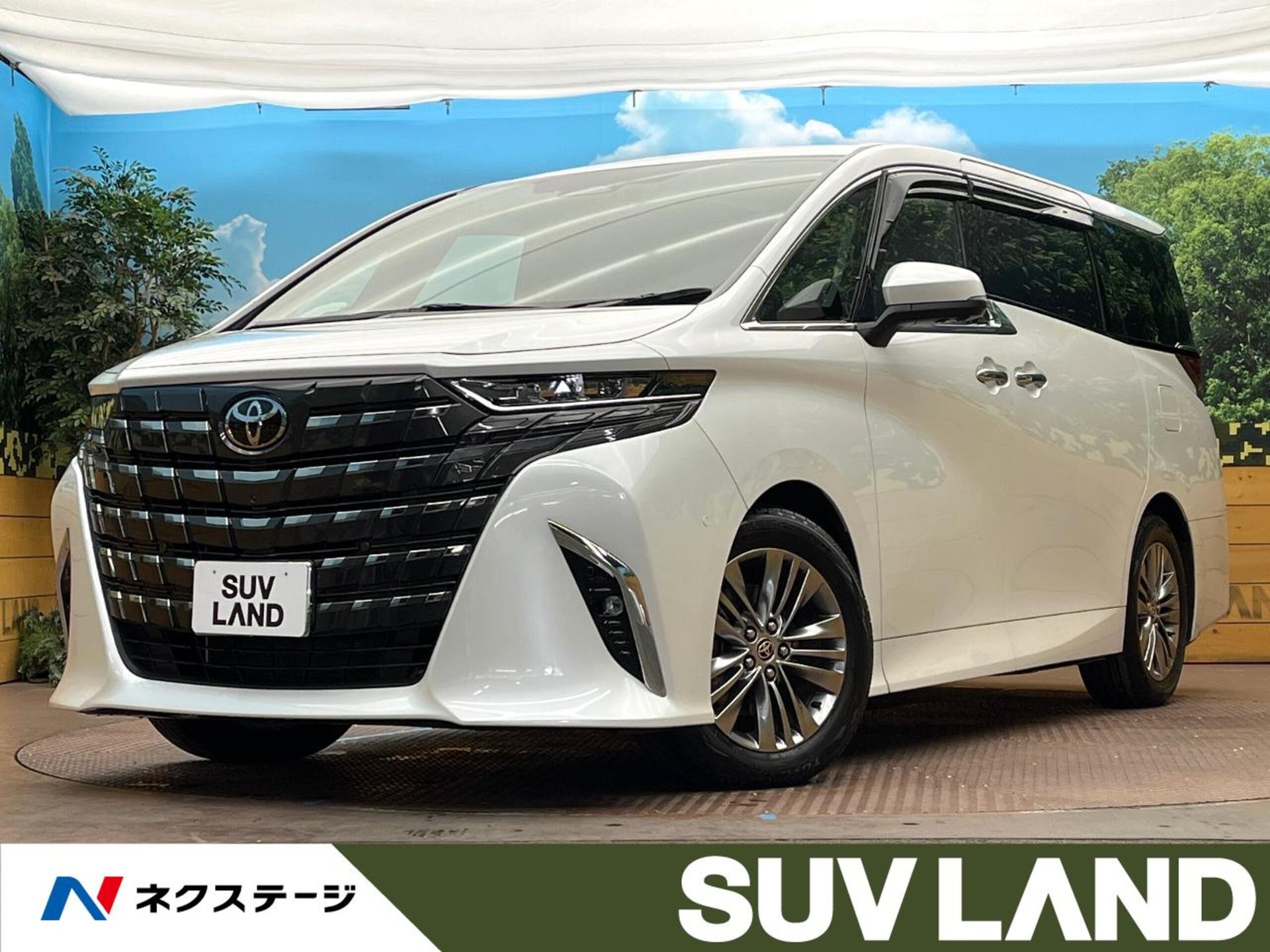 TOYOTA ALPHARD - View 1