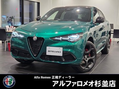 2025 ALFA Romeo STELVIO 照片 2