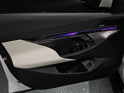 2025 BMW 5 SERIES thumbnail 14