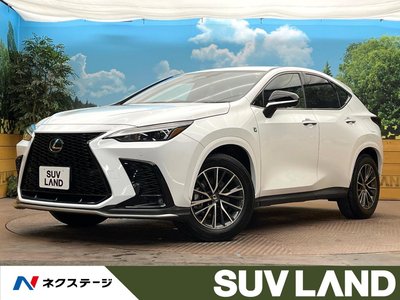 LEXUS NX - 1