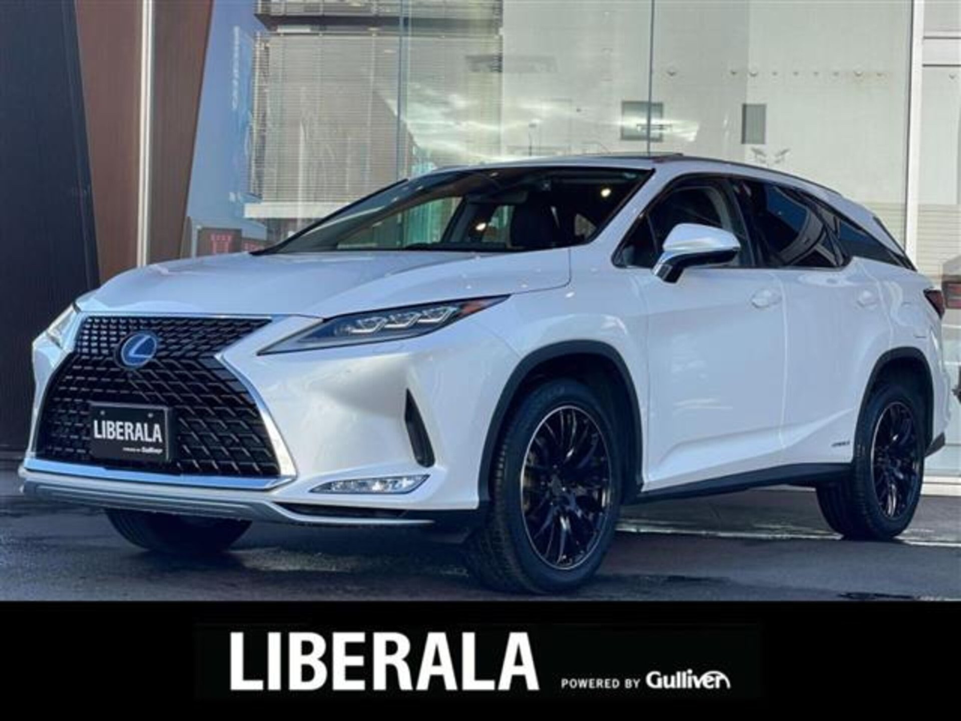 LEXUS RX - View 1