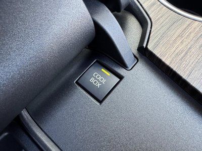 TOYOTA LAND CRUISER 300 - 6