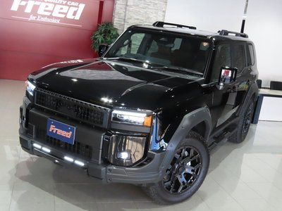 TOYOTA LAND CRUISER 250 - 6