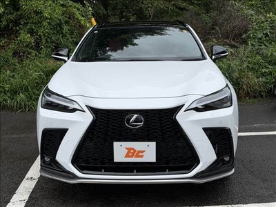 2023 Lexus NX 缩略图 21