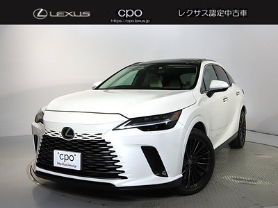 LEXUS RX - 1