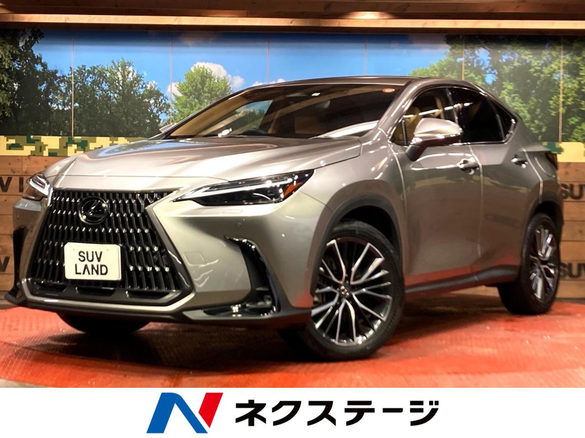 LEXUS NX - View 1