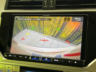 TOYOTA LAND CRUISER PRADO - 5