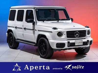 MERCEDES-BENZ G-CLASS - 1