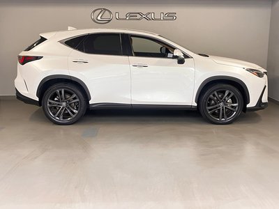 2021 Lexus NX 照片 8