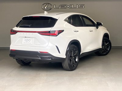2021 Lexus NX 照片 6