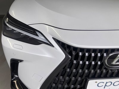 2021 Lexus NX 照片 4