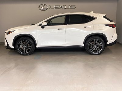 2021 Lexus NX 照片 7
