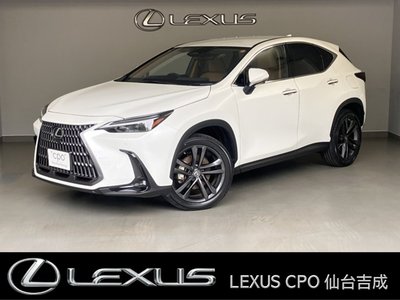 2021 Lexus NX 照片 1