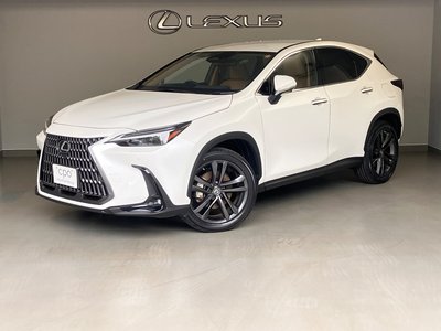 2021 Lexus NX 照片 2