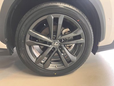 2021 Lexus NX 照片 9