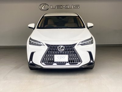 2021 Lexus NX 照片 3