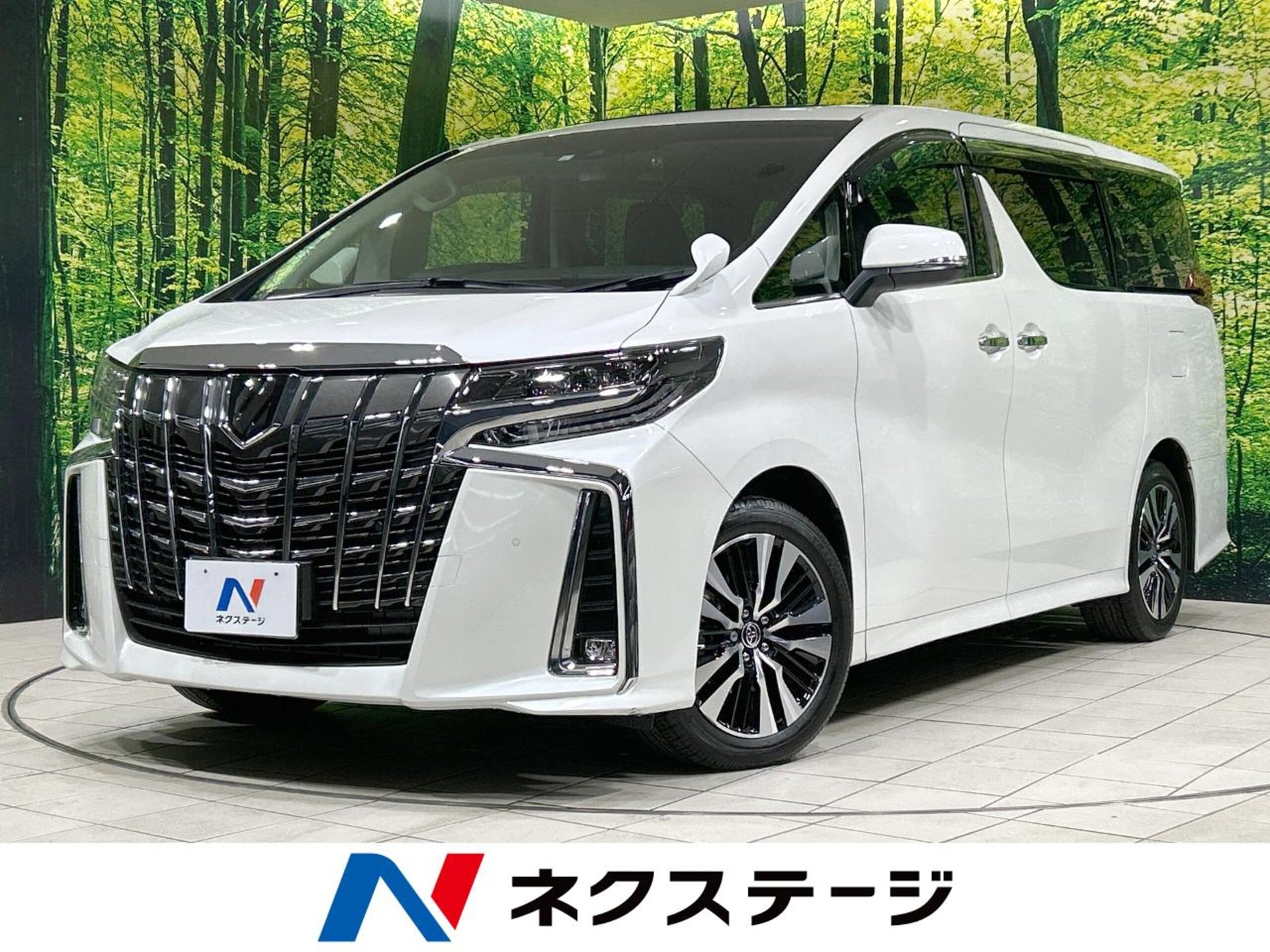 TOYOTA ALPHARD - View 1
