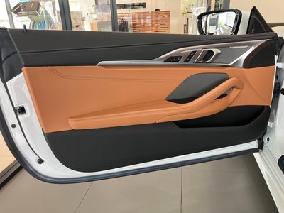 2021 BMW 8 SERIES CABRIOLET 缩略图 57