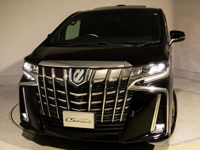 2019 TOYOTA ALPHARD 缩略图 16