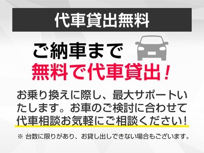 2019 TOYOTA ALPHARD 缩略图 47