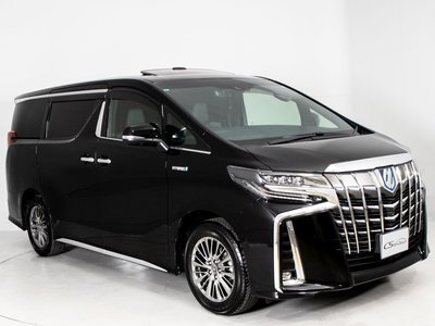 2019 TOYOTA ALPHARD 缩略图 17