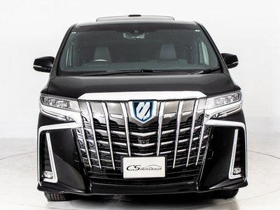 2019 TOYOTA ALPHARD 缩略图 15