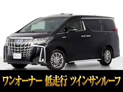 2019 TOYOTA ALPHARD photo 1