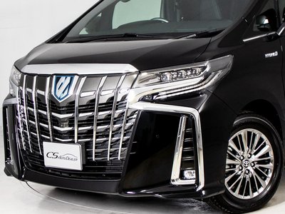 2019 TOYOTA ALPHARD 缩略图 12