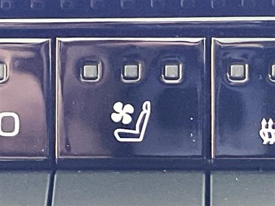 2024 Toyota LAND CRUISER 250 — миниатюра 14