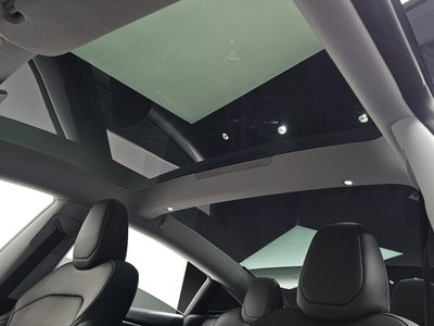 2024 Tesla MODEL 3 缩略图 16