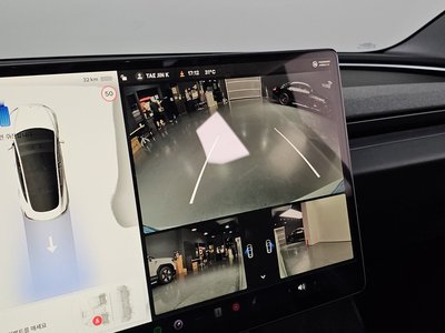 2024 Tesla MODEL 3 缩略图 15