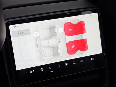 2024 Tesla MODEL 3 缩略图 19